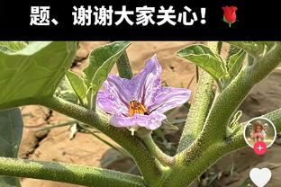 手感火热！凯莱布-马丁首节8中6拿到15分4板 三分4中3